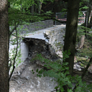 IMG_5876.jpg
