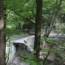 IMG_5877.jpg