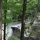 IMG_5879.jpg