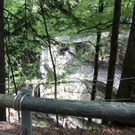 IMG_5874.jpg