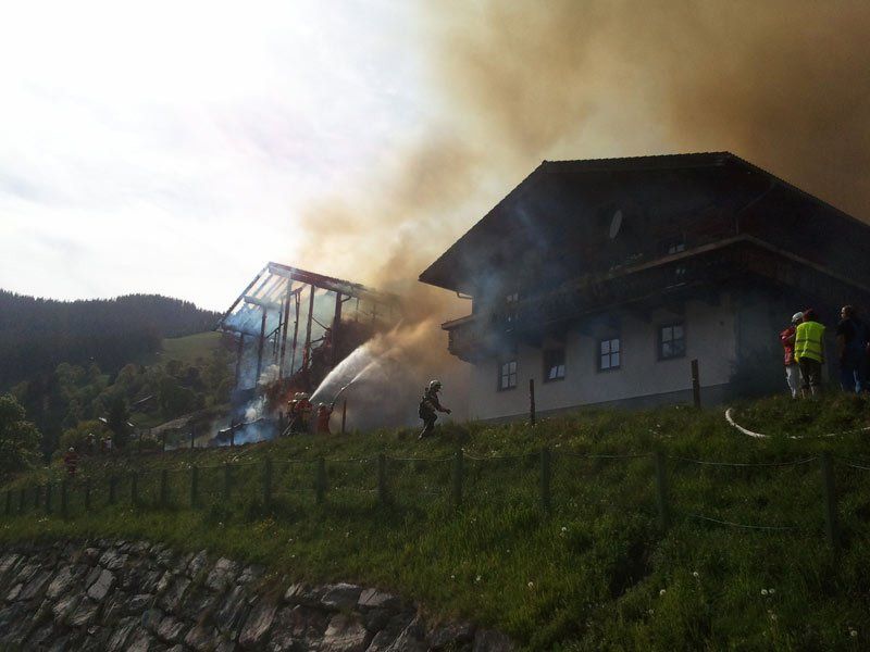 Dienten1-11_05_11.jpg