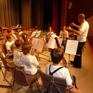 P1040871_1_jpg-1305232806