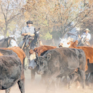 Argentinien: Bei den Gauchos am Rio de la Plata