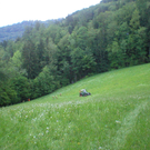 P1010001.JPG