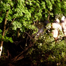 vu_pkw_20110513_01.jpg