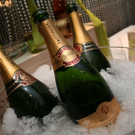 IMG_9176_jpg-1305307911