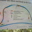 Es ist immer schön am Alten Rhein