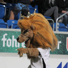 IMG_9864_JPG-1305377742