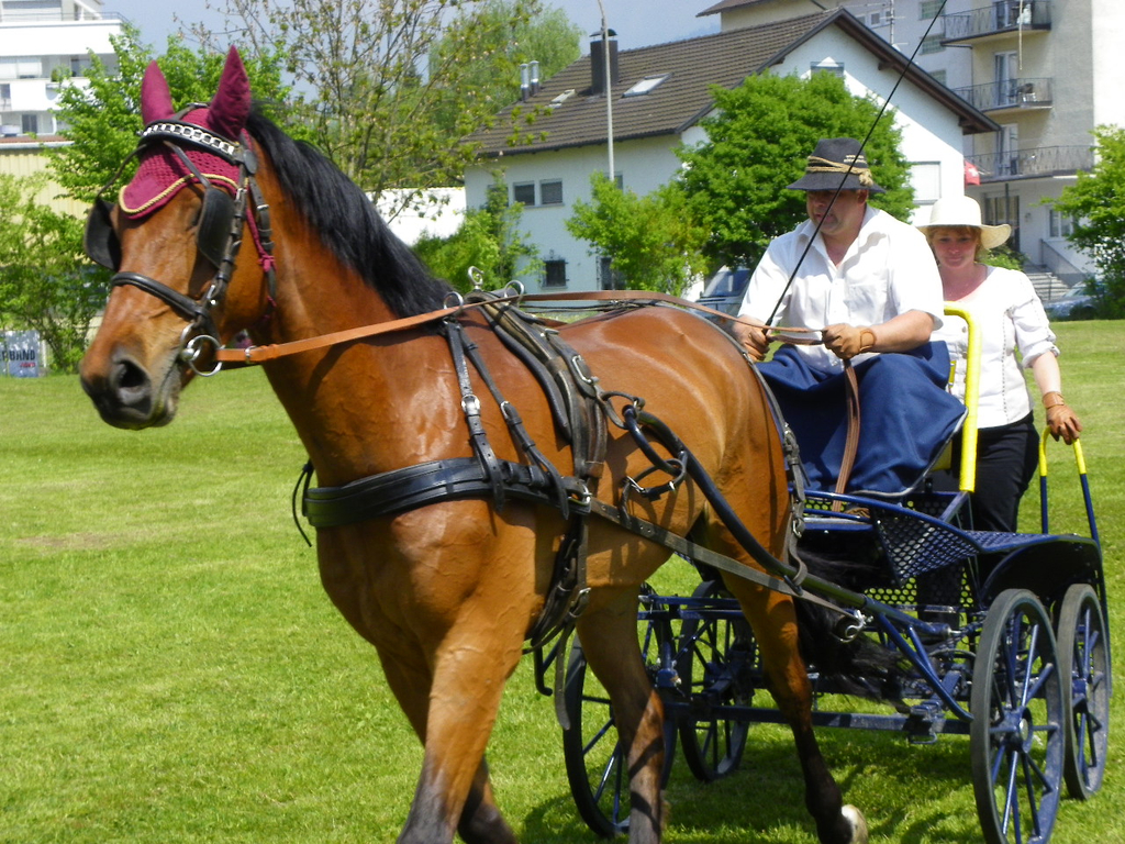 110_6127_jpg-1305384714