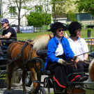 110_6093_jpg-1305384639