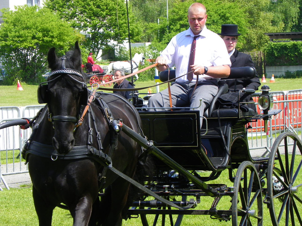 110_6105_jpg-1305384647