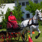 110_6109_jpg-1305384662