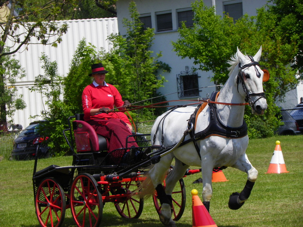 110_6109_jpg-1305384662