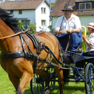 110_6119_jpg-1305384676