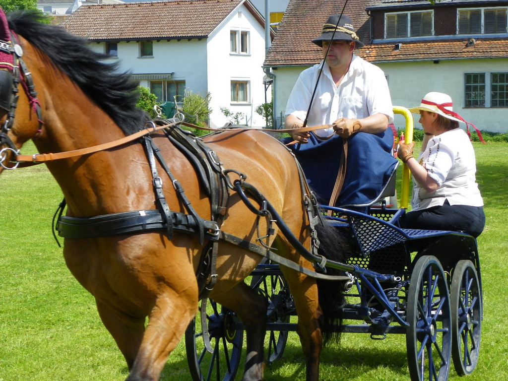 110_6119_jpg-1305384676