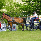 110_6120_jpg-1305384684