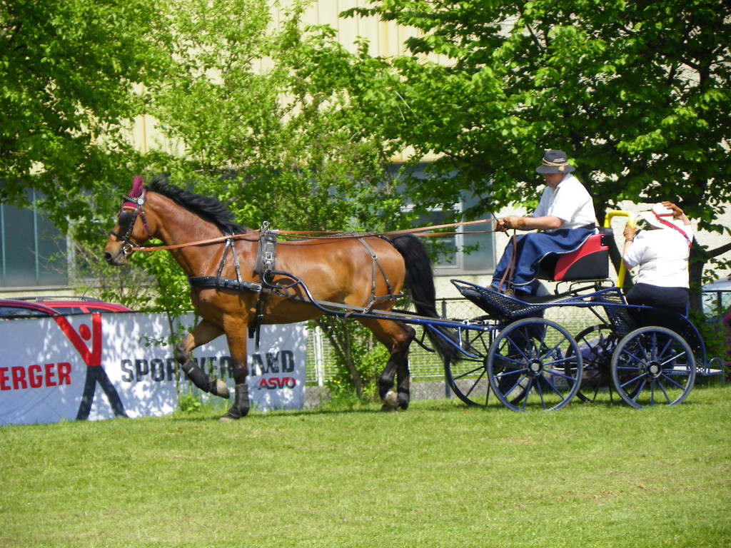 110_6120_jpg-1305384684