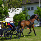 110_6122_jpg-1305384691