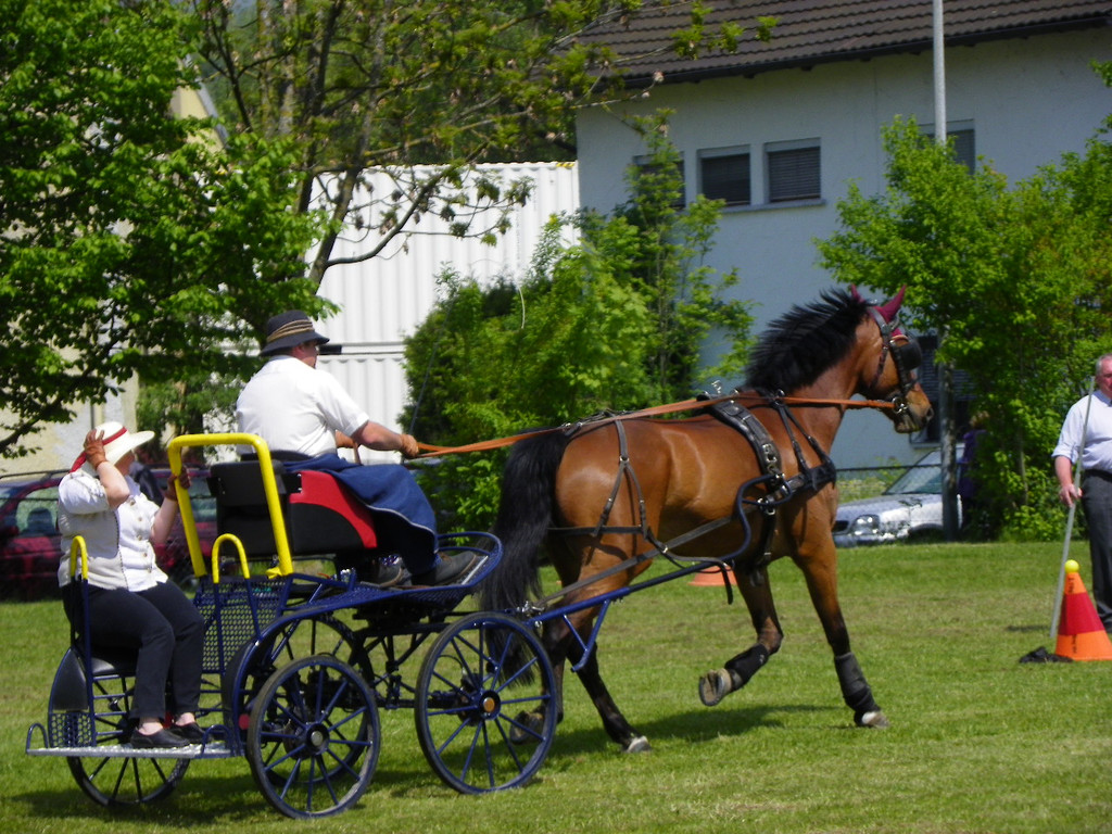 110_6122_jpg-1305384691