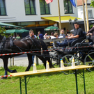 110_6125_jpg-1305384699