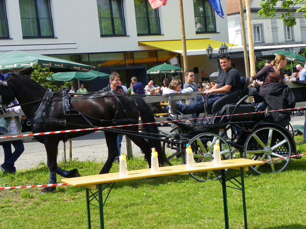 110_6125_jpg-1305384699