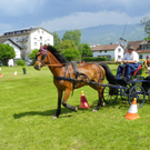 110_6126_jpg-1305384706