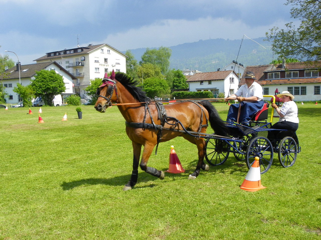 110_6126_jpg-1305384706