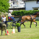 110_6132_jpg-1305384738