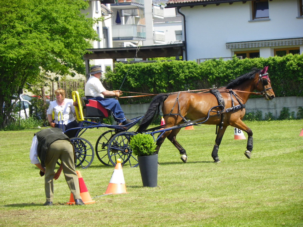 110_6132_jpg-1305384738