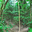 BK_klettergartennofels_jpg-1305384649