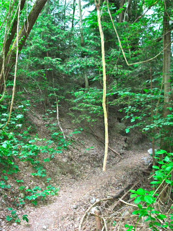 BK_klettergartennofels_jpg-1305384649