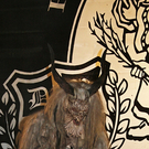 Bild 089.jpg