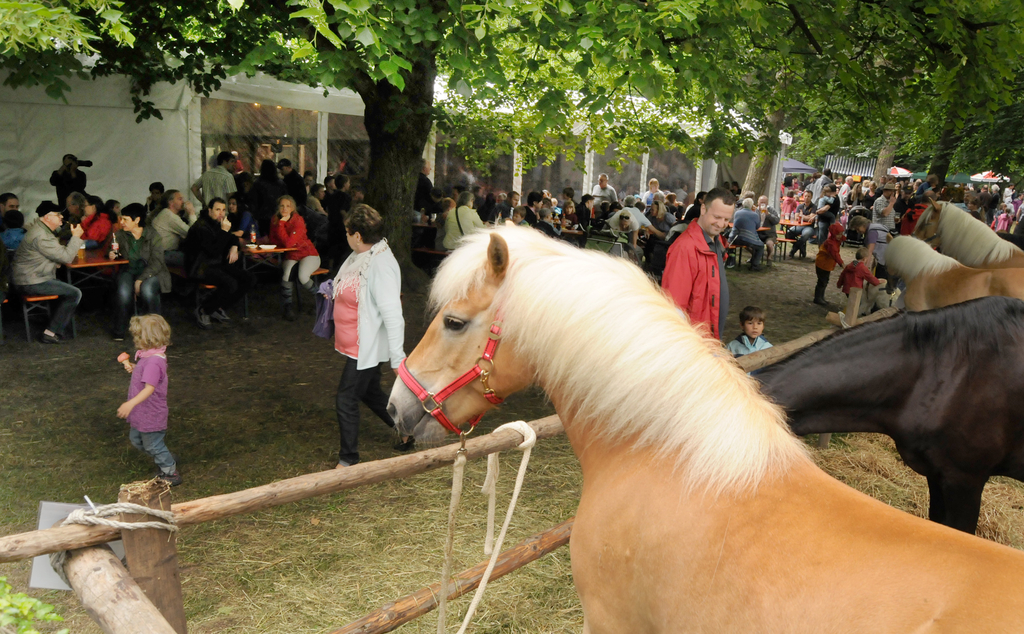 Tiere H__chst 14_05_2011 118_jpg-1305385611