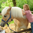 Tiere H__chst 14_05_2011 11_jpg-1305384643