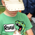 Tiere H__chst 14_05_2011 16_jpg-1305384655