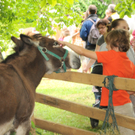 Tiere H__chst 14_05_2011 21_jpg-1305384704