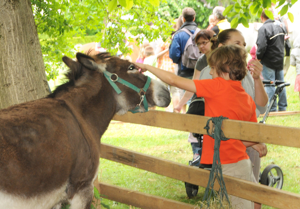 Tiere H__chst 14_05_2011 21_jpg-1305384704