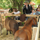 Tiere H__chst 14_05_2011 22_jpg-1305384736