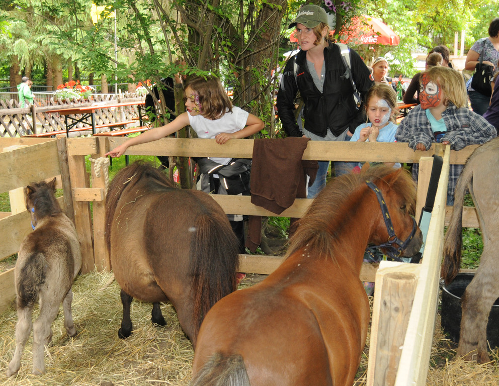 Tiere H__chst 14_05_2011 22_jpg-1305384736