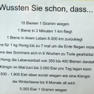 Tiere H__chst 14_05_2011 43_jpg-1305384929
