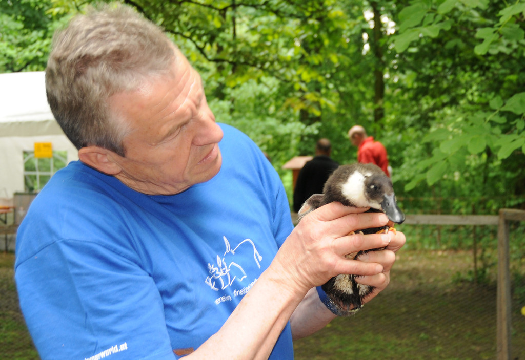 Tiere H__chst 14_05_2011 54_jpg-1305385057