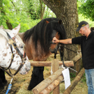 Tiere H__chst 14_05_2011 100_jpg-1305385390