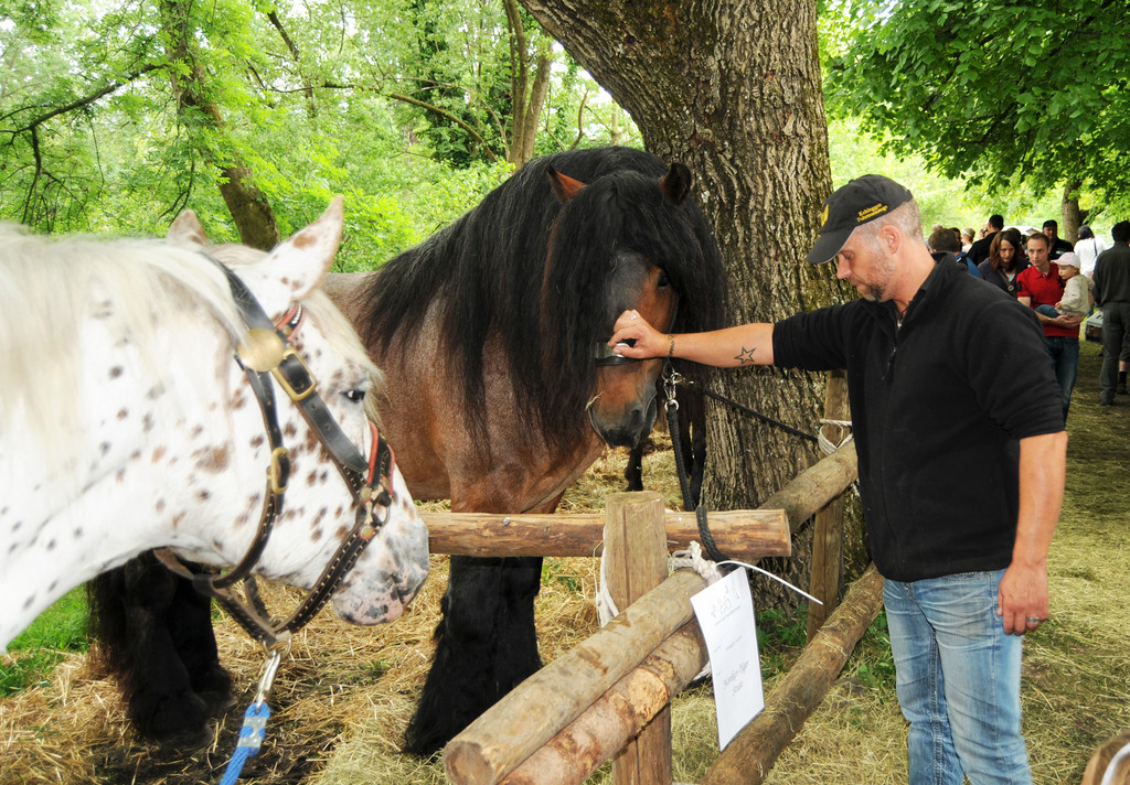 Tiere H__chst 14_05_2011 100_jpg-1305385390