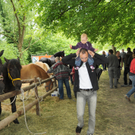 Tiere H__chst 14_05_2011 104_jpg-1305385443