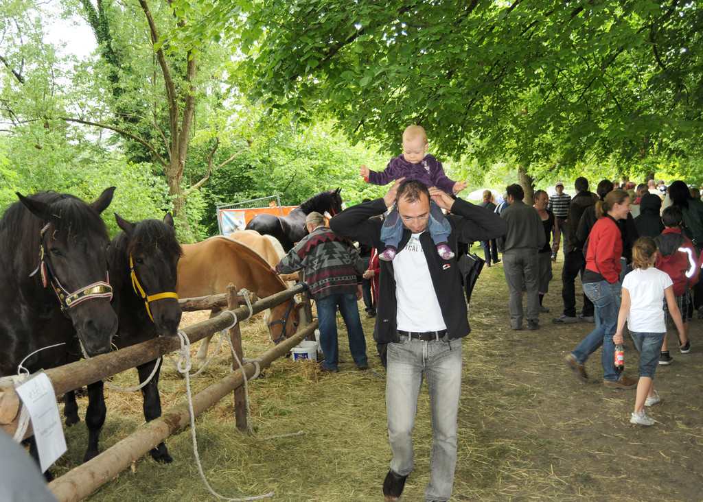 Tiere H__chst 14_05_2011 104_jpg-1305385443