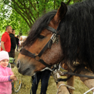 Tiere H__chst 14_05_2011 148_jpg-1305385775
