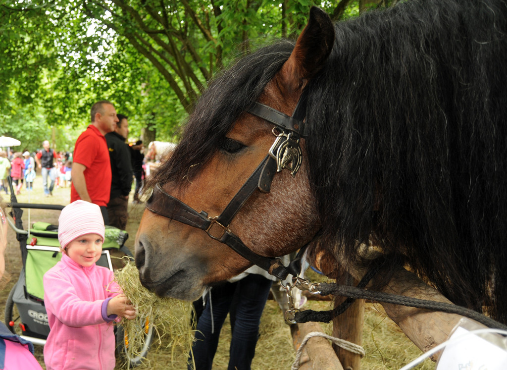 Tiere H__chst 14_05_2011 148_jpg-1305385775