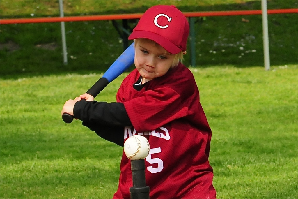 TBL Lars Maier am Schlag_jpg-1305448769