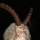 Bild 124.jpg