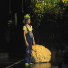 IMG_7991_JPG-1305451805
